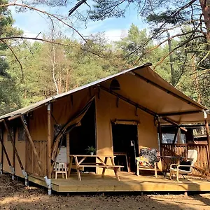 Camp Bursztynowy Campsite